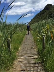 Hiking on the West Coast, NZ